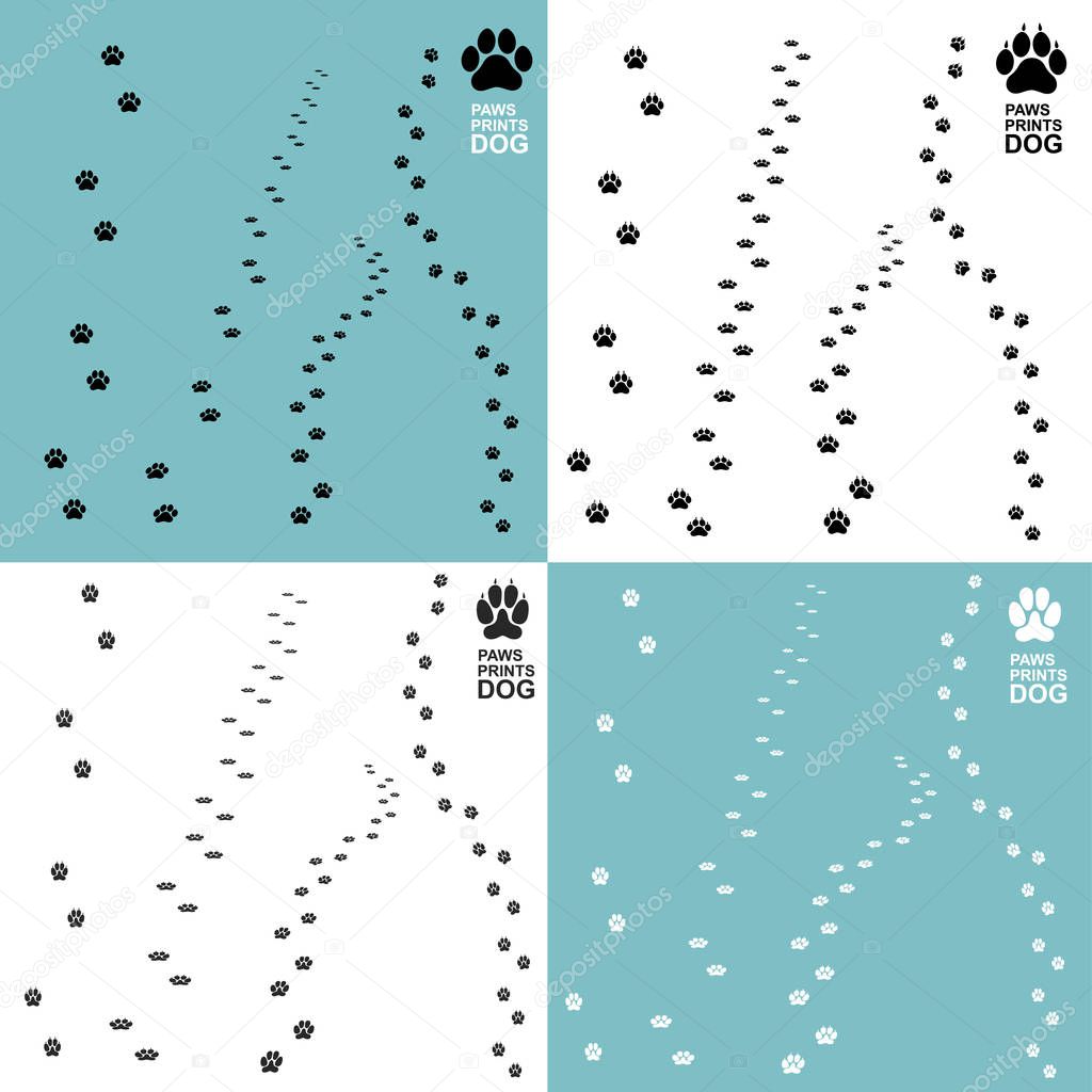 Set of paws prints dog. Vector illustration. Isolated on white background