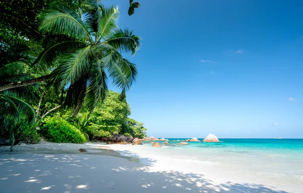 Anse lazio plaży, Wyspy praslin, Seszele — Zdjęcie stockowe
