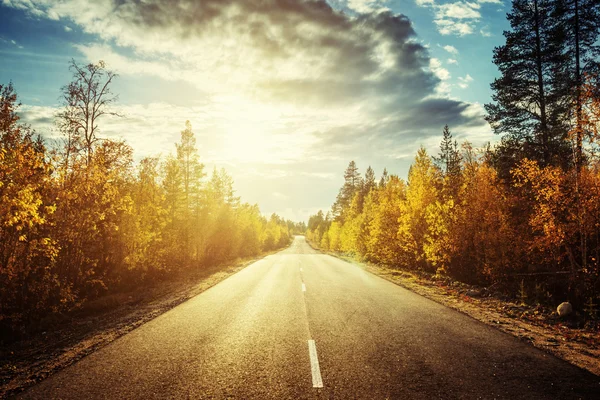 Route dans la forêt du nord en automne — Photo