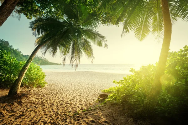 Pôr do sol nas Seychelles — Fotografia de Stock