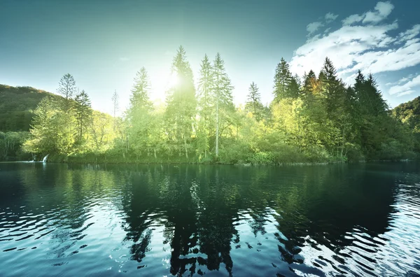 Lac dans la forêt, Croatie, Plitvice — Photo