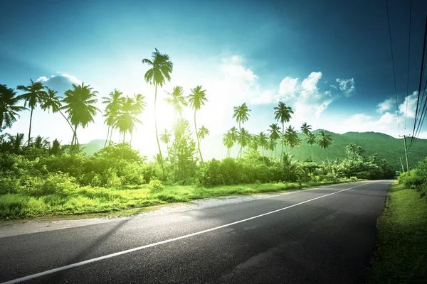 Leere Straße im Dschungel der Seychellen — Stockfoto