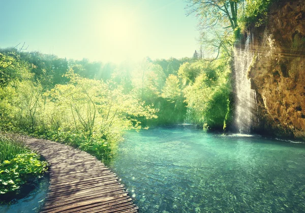 Lake in forest, Croatia, Plitvice — Stock Photo, Image