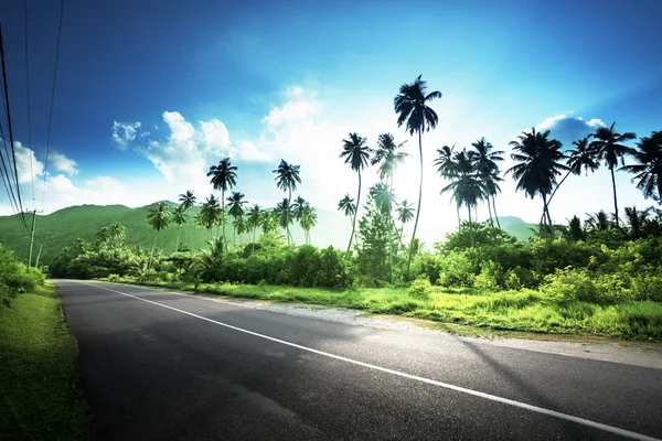 Leere Straße im Dschungel der Seychellen — Stockfoto