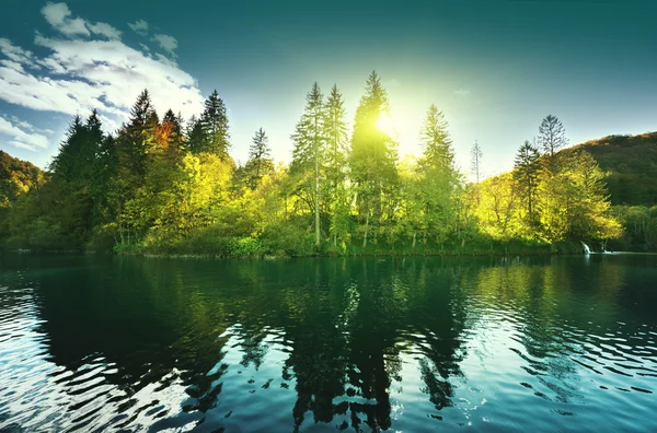 Lago na floresta, Croácia, Plitvice — Fotografia de Stock