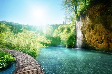 lake in forest, Croatia, Plitvice clipart