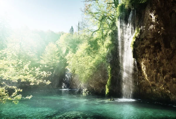 Lago nella foresta, Croazia, Plitvice — Foto Stock