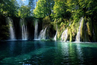 Şelale inforest, Plitvice, Hırvatistan