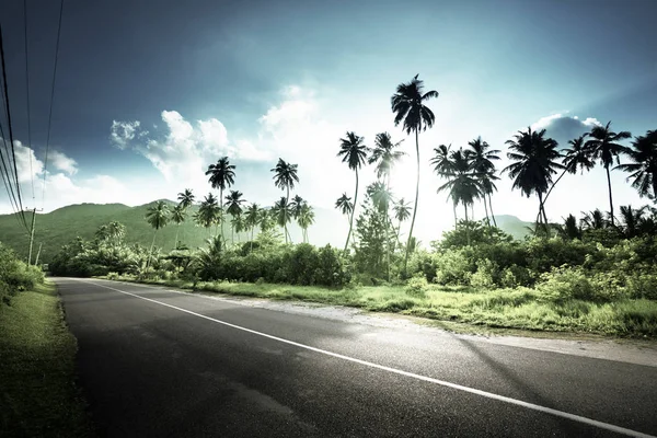 Estrada vazia na selva das ilhas Seychelles — Fotografia de Stock