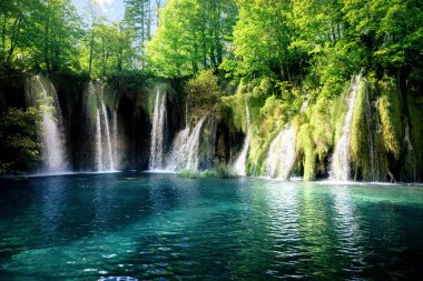 Şelale inforest, Plitvice, Hırvatistan