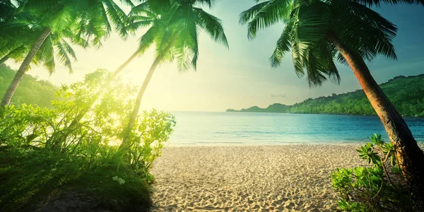 Puesta de sol en la playa de Seychelles —  Fotos de Stock