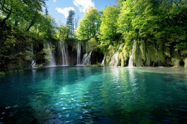 Şelale inforest, Plitvice, Hırvatistan