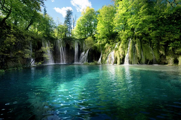 Foresta a cascata, Plitvice, Croazia — Foto Stock