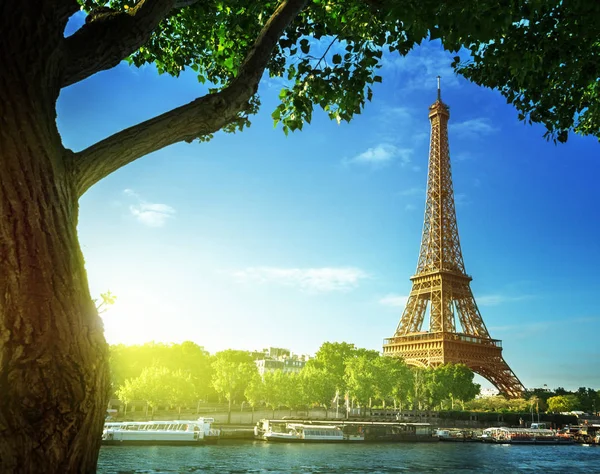 Torre Eiffel, Paris. França — Fotografia de Stock