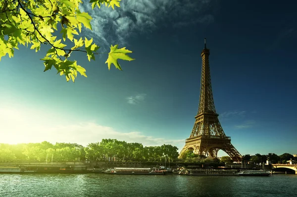 Эйфелева башня, Париж. Франция — стоковое фото