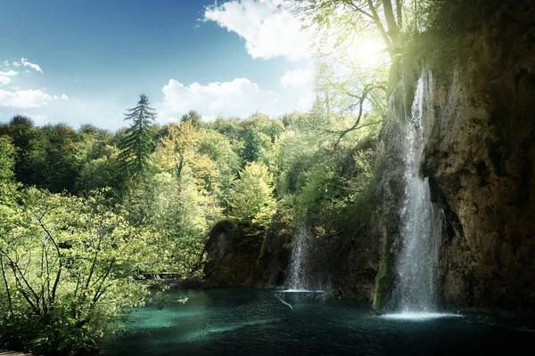 Водопад в лесу, Плитвицкая область, Хорватия — стоковое фото