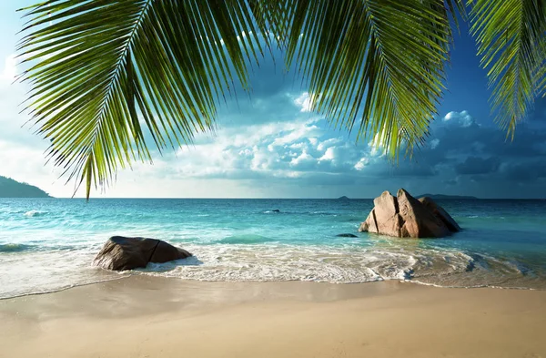 Anse lazio beach, praslin-sziget, Seychelle-szigetek — Stock Fotó