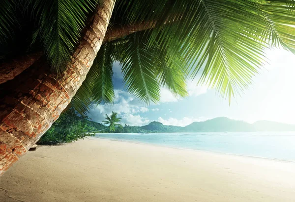 Solnedgång på stranden Anse Takamaka, Mahe island, Seychellerna — Stockfoto