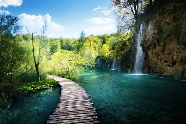 Ormanda Şelale, Plitvice, Hırvatistan