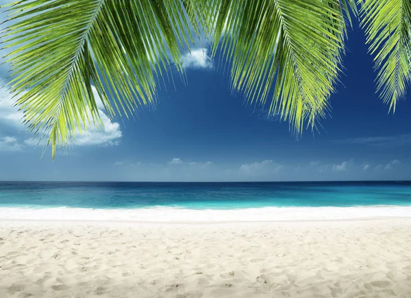 Pláž na ostrově Mahe, Seychely — Stock fotografie