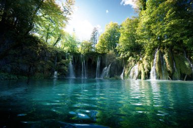 Ormanda Şelale, Plitvice, Hırvatistan