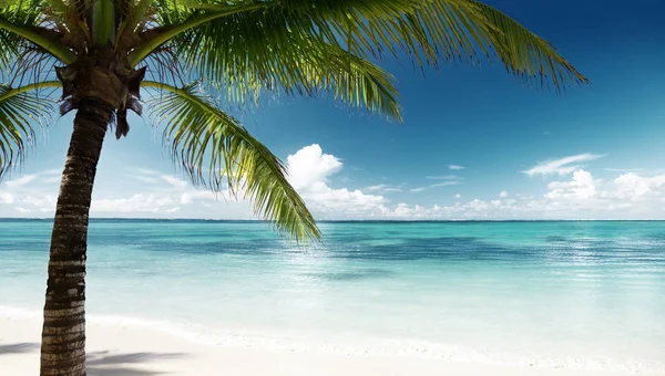Παραλία στην Καραϊβική, Domonican Δημοκρατία — Φωτογραφία Αρχείου