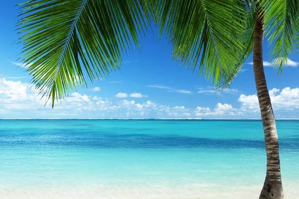 Spiaggia dei Caraibi, Repubblica Domonicana — Foto Stock