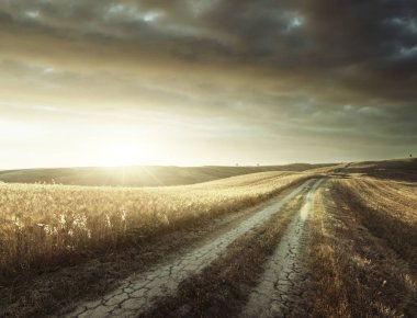 Tuscany sunny road, İtalya