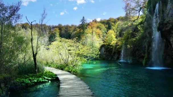 Vízesés az erdőben Plitvicei-tavak Nemzeti Park, Horvátország — Stock videók