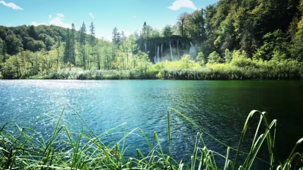 Jezero v hlubokých lesích, plitvice, Chorvatsko — Stock video