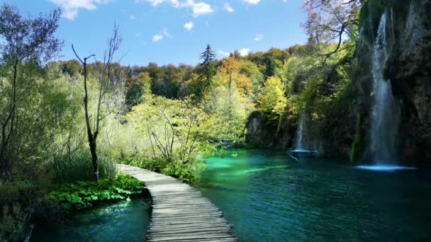 Way in forest, Plitvice lakes, Croatia — Stock Video