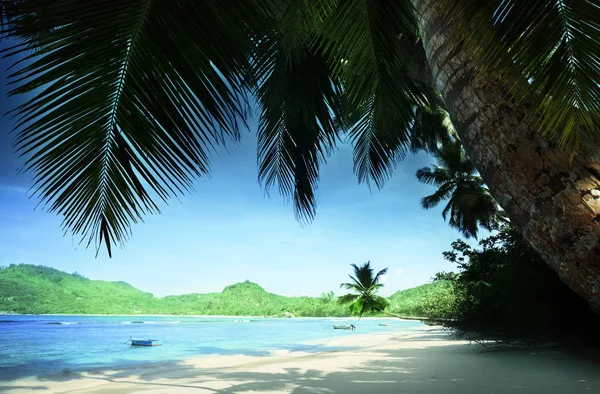 Praia Anse Takamaka, ilha de Mahe, Seychelles — Fotografia de Stock