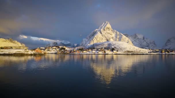 Måsar i soluppgång tid, mars, Reine Village, Lofoten öarna, Norge — Stockvideo