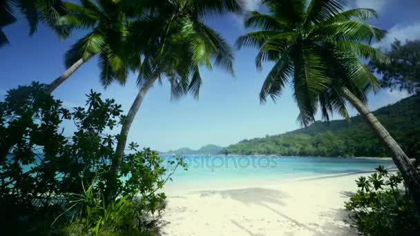 Strand takamaka, mahe island, Seychellen — Stockvideo