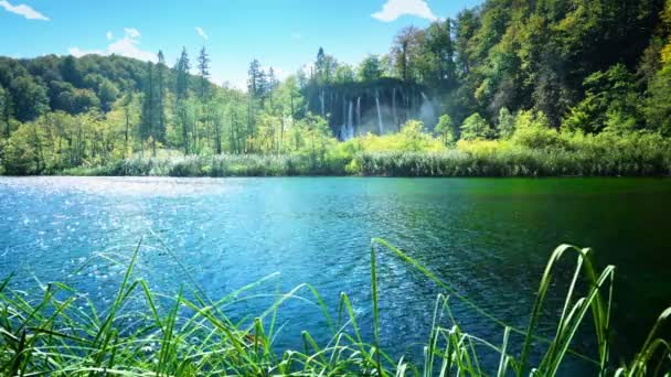 Jezero v hlubokých lesích, plitvice, Chorvatsko — Stock video