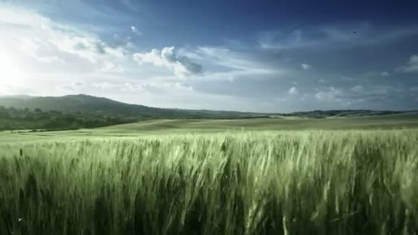 Våren solnedgång i Toscana, Italien — Stockvideo