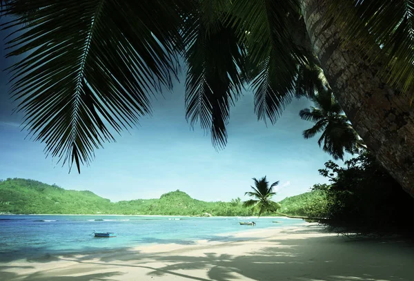 Stranden Anse Takamaka, Mahe island, Seychellerna — Stockfoto