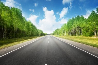 Yaz ormanlarında yol