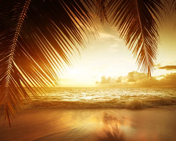 Solnedgång på Seychellerna beach — Stockfoto
