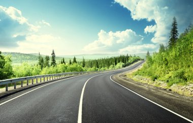 Kuzey ormandaki yol