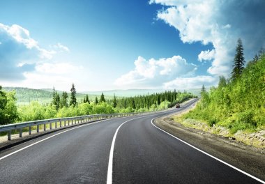 Kuzey ormandaki yol
