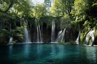 Ormandaki şelale, Plitvice Gölleri, Hırvatistan