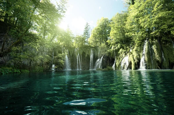 Vízesés az erdőben, Plitvicei-tavak, Horvátország — Stock Fotó
