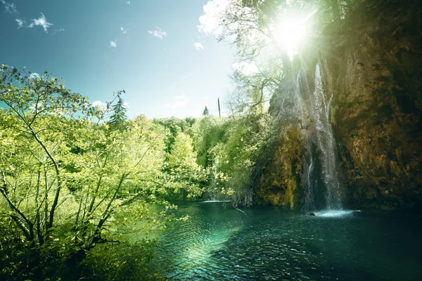 Vízesés az erdőben, Plitvicei-tavak, Horvátország — Stock Fotó