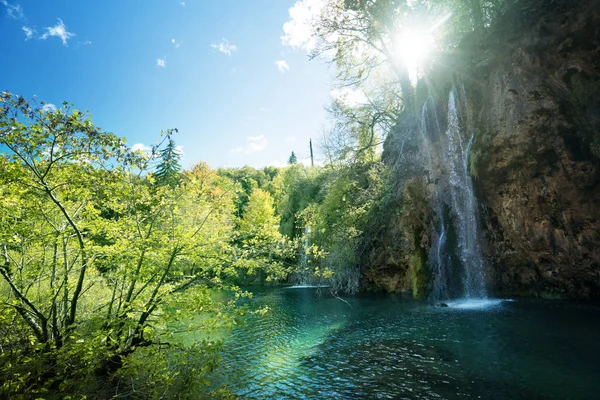 Vízesés az erdőben, Plitvicei-tavak, Horvátország — Stock Fotó