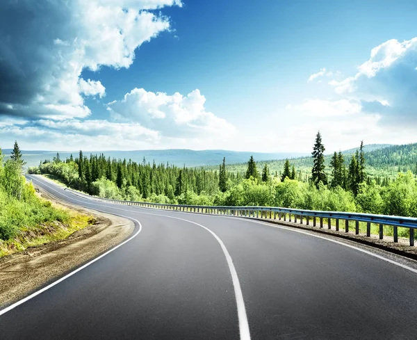 Road in north forest — Stock Photo, Image