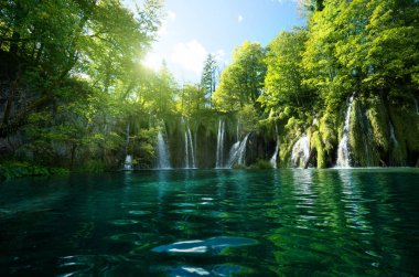 Ormandaki şelale, Plitvice Gölleri, Hırvatistan