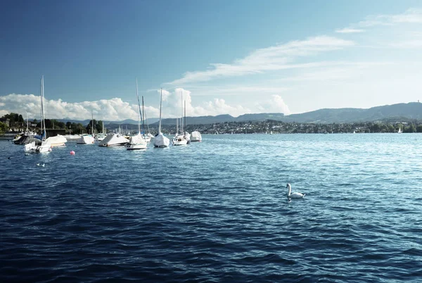 Curyšské jezero s jachty, Švýcarsko — Stock fotografie
