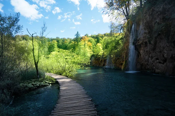 Wodospad w lesie, Plitvice, Chorwacja — Zdjęcie stockowe