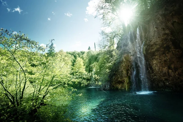 Водопад в лесу, Плитвицкие озера, Хорватия — стоковое фото